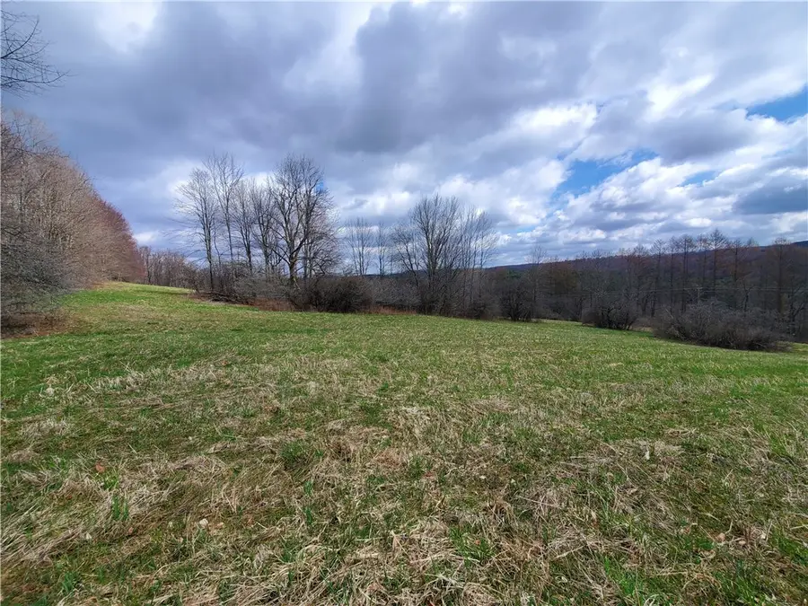 Lot 3 Goddards Road, Mount Vision, NY 13810 - Image #3