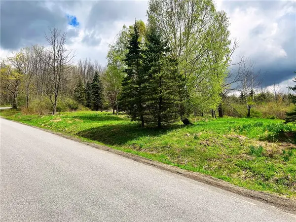 Sisson Hill Road, Unadilla, NY 13849