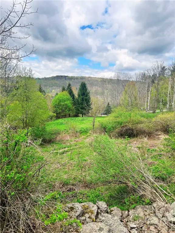 Sisson Hill Road, Unadilla, NY 13849 - Image #3