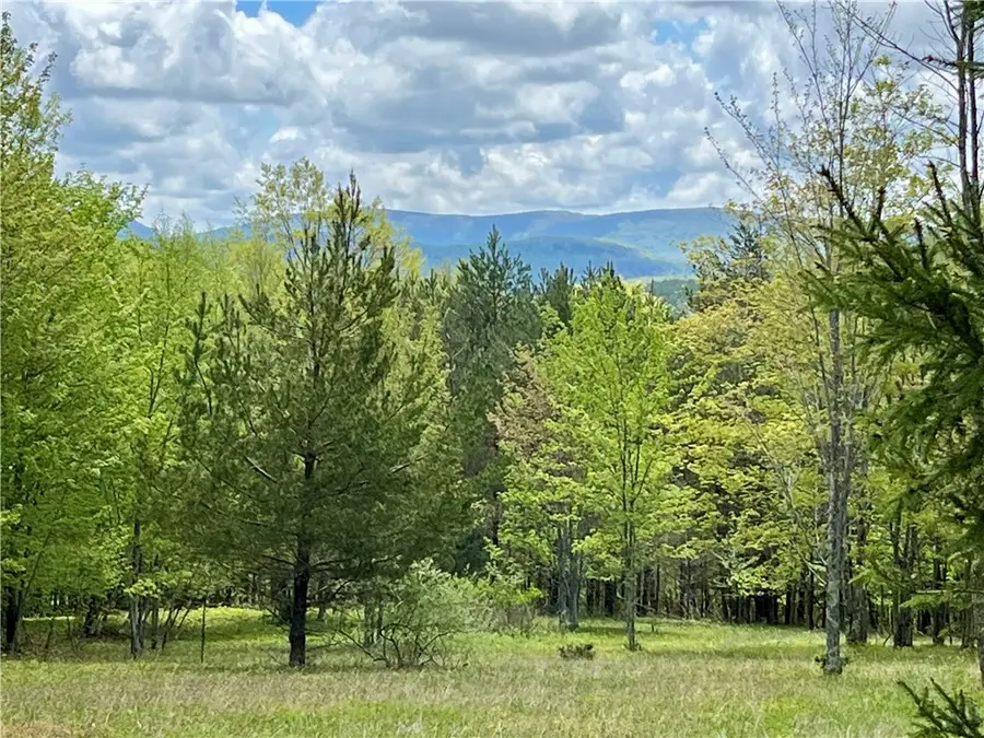 Crescent Hill Road, Andes, NY 13731 - Image #2