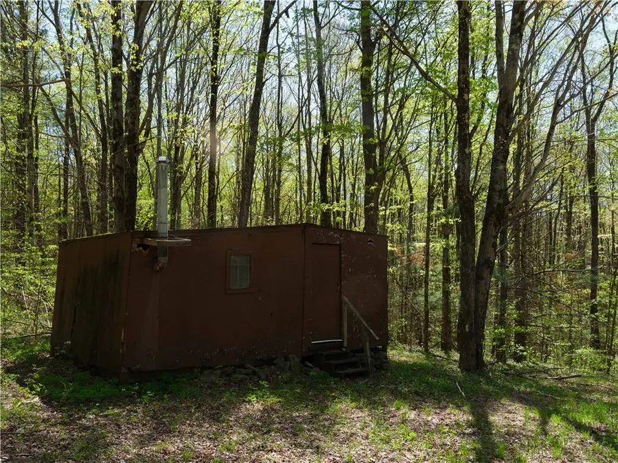 Sanly Road, Franklin Town, NY 13839 - Image #3