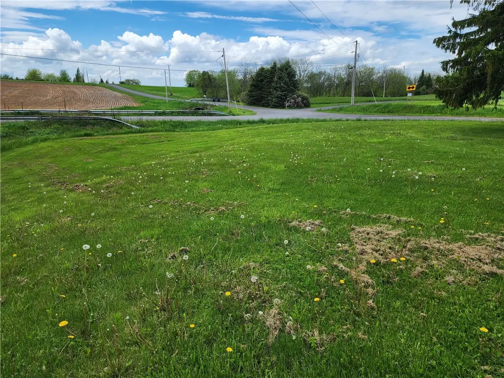 1580 Gray Road, Union Springs, NY 13160 - Image #1