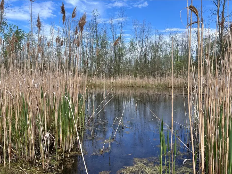 200 Burritt Road, Hilton, NY 14468 - Image #2