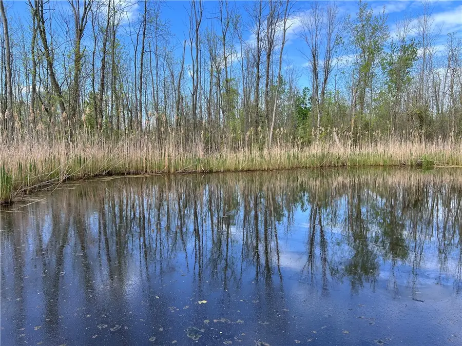 200 Burritt Road, Hilton, NY 14468 - Image #3