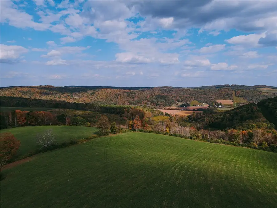 725 S Hill Road, Spencer, NY 14883 - Image #3