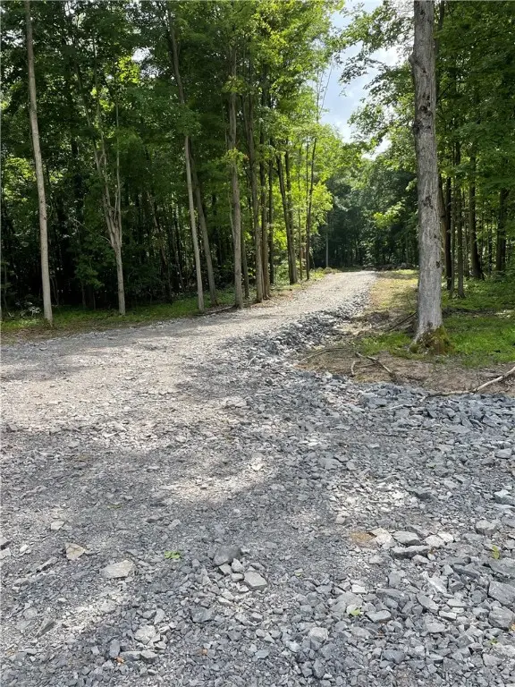 000 Mcnamar Road, Albion, NY 14411