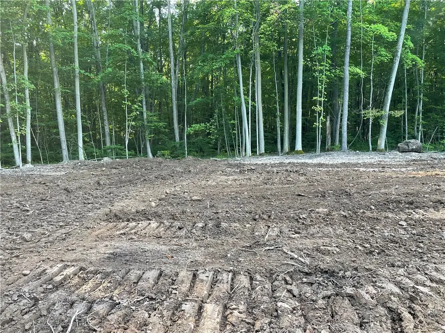 000 Mcnamar Road, Albion, NY 14411 - Image #2