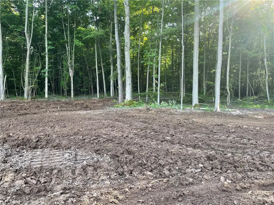 000 Mcnamar Road, Albion, NY 14411 - Image #3