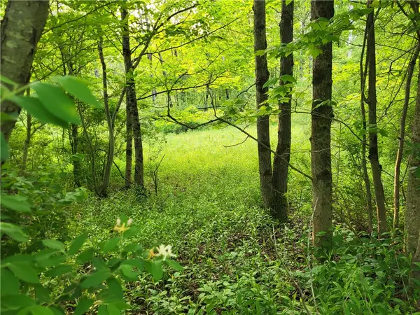 Lot 14.1 Joe Road, South Otselic, NY 13155