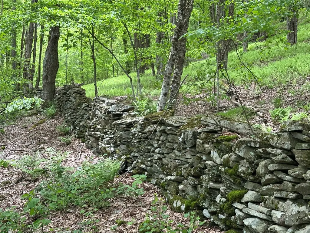 Woodland Hills Road, Andes, NY 13731 - #1