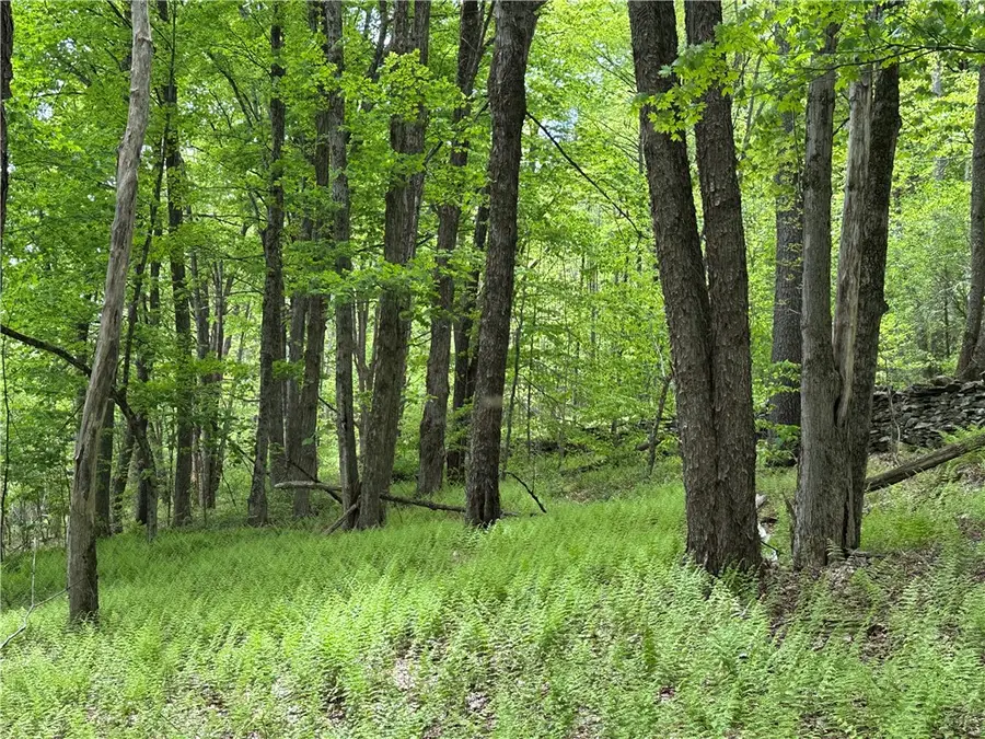 Woodland Hills Road, Andes, NY 13731 - #3