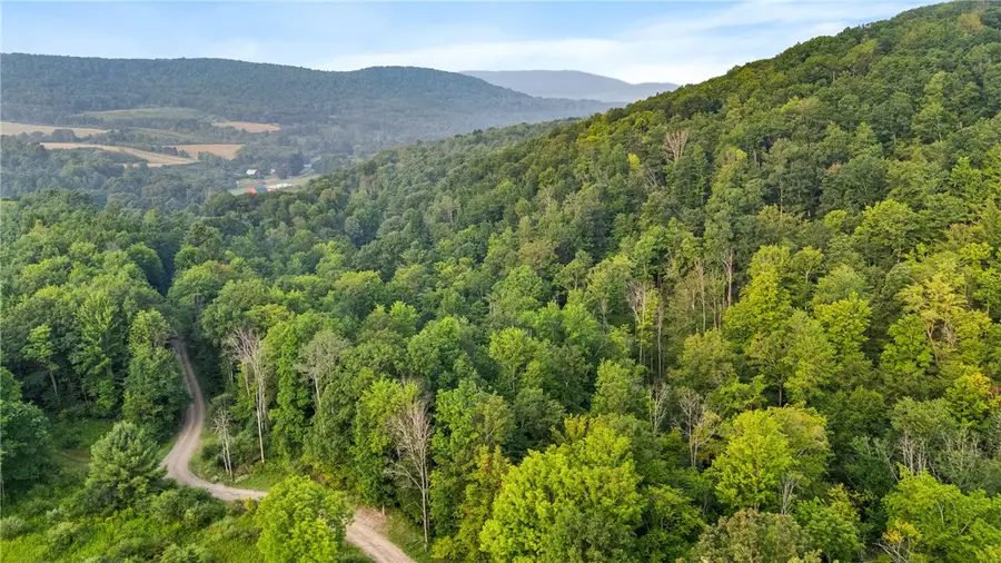 0 Ruttin Rd Road, Scio, NY 14880 - Image #2