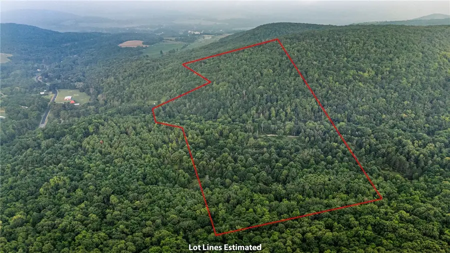 0 Ruttin Rd Road, Scio, NY 14880 - Image #3