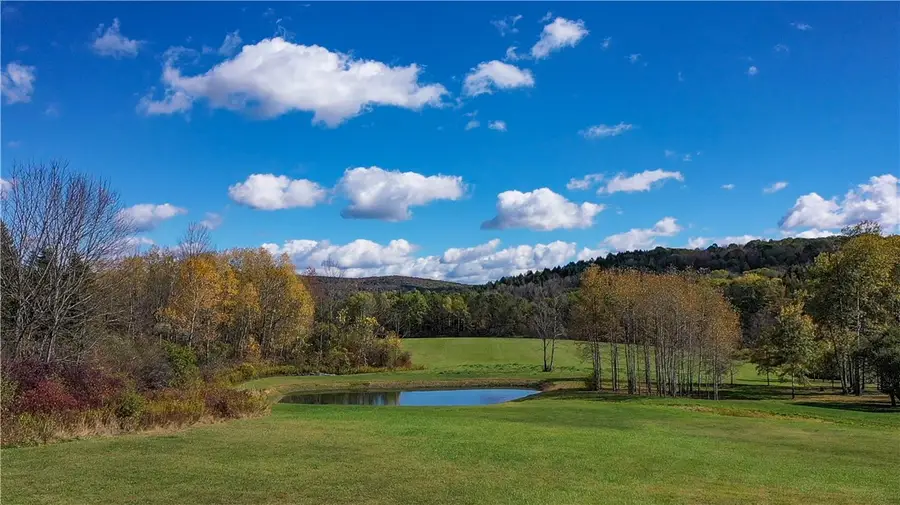 380 Raymond Fish Road, Hartwick, NY 13348 - Image #3