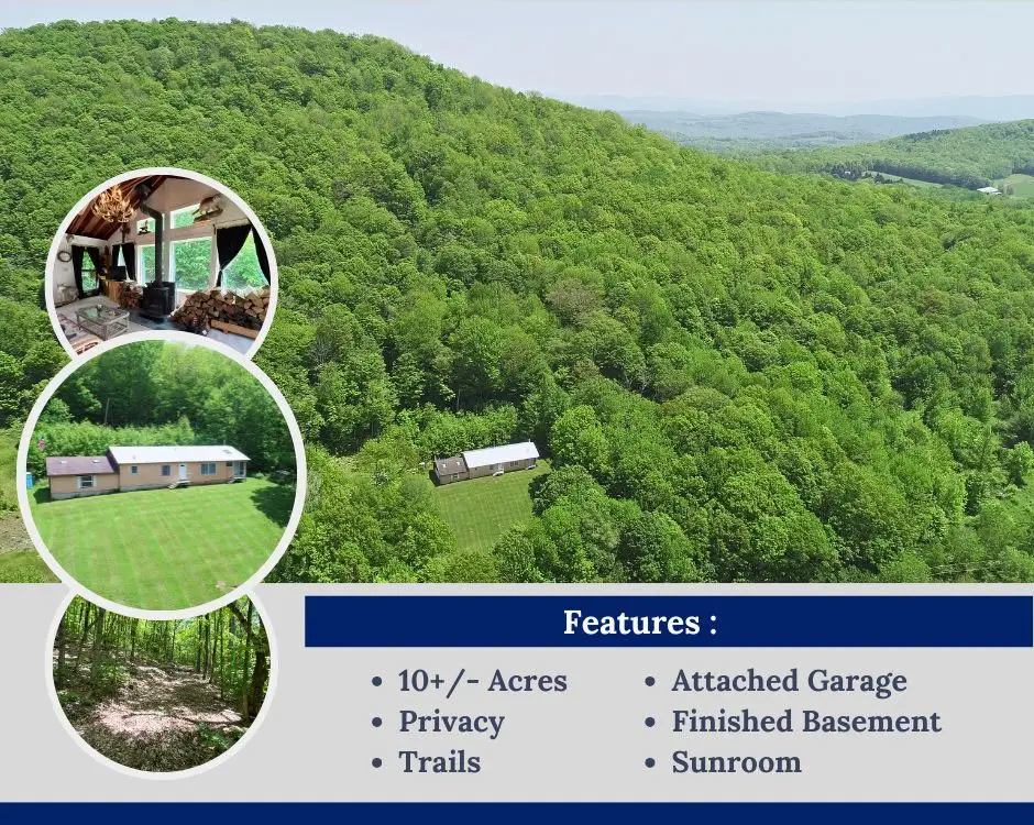 719 Sunrise Mountain Road, Bloomville, NY 13739 - #1