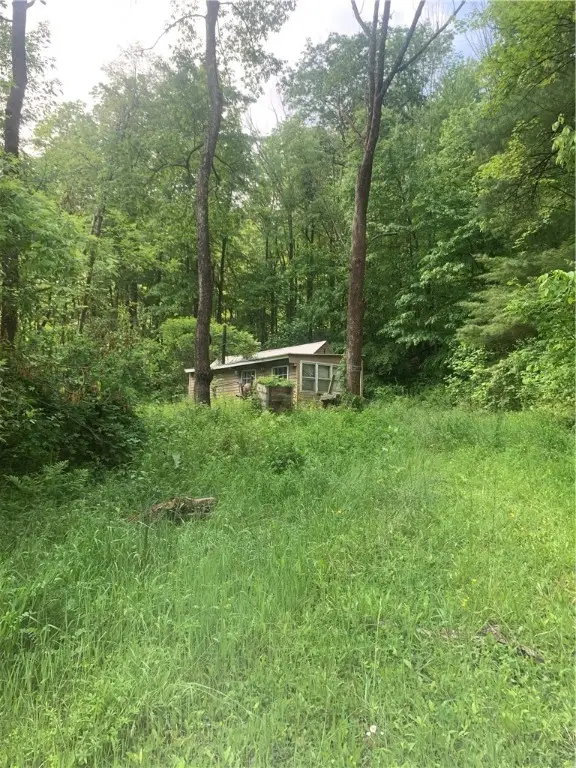 3565 Texas Hollow Rd., Burdett, NY 14818 - Image #1