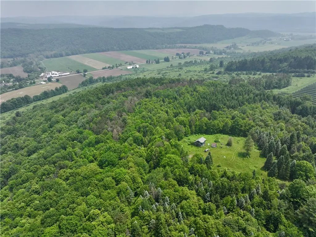 78 Lower Fairfield Rd., Newark Valley, NY 13811 - Image #1