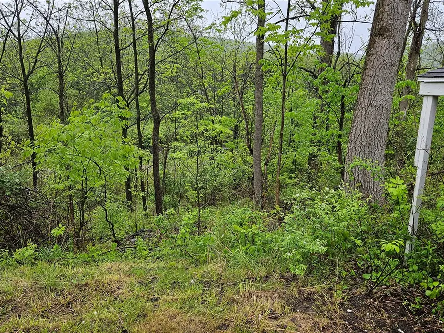 284 Berwick Turnpike, Wellsburg, NY 14894 - Image #2