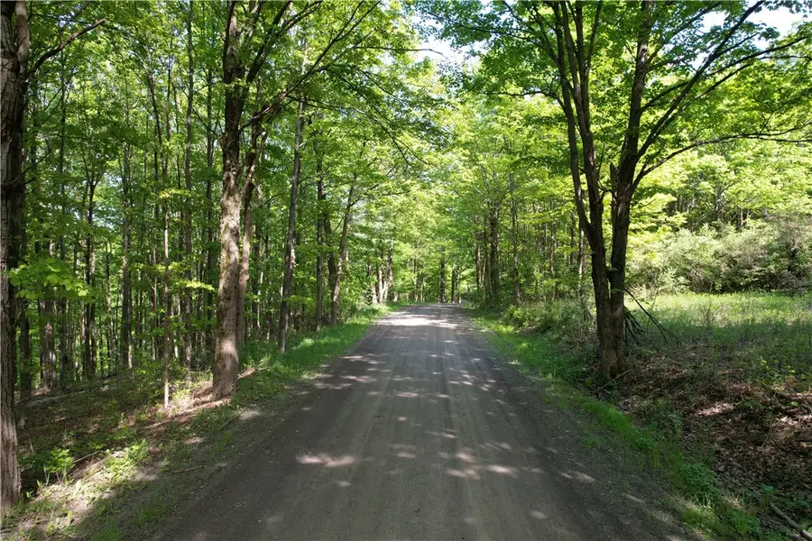 326 Park Hill Road, Erin, NY 14838 - Image #3