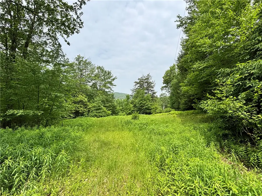 16 Indian Summer Road, Deposit, NY 13754 - Image #3