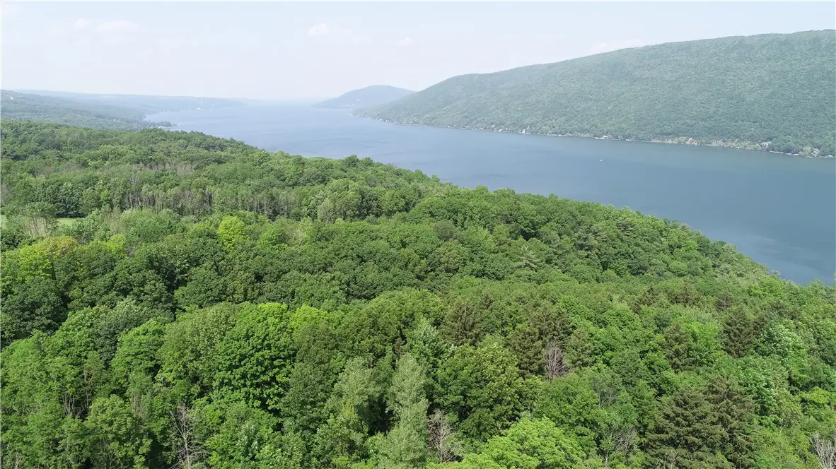 0 Longview Drive, Naples, NY 14512 - Image #1