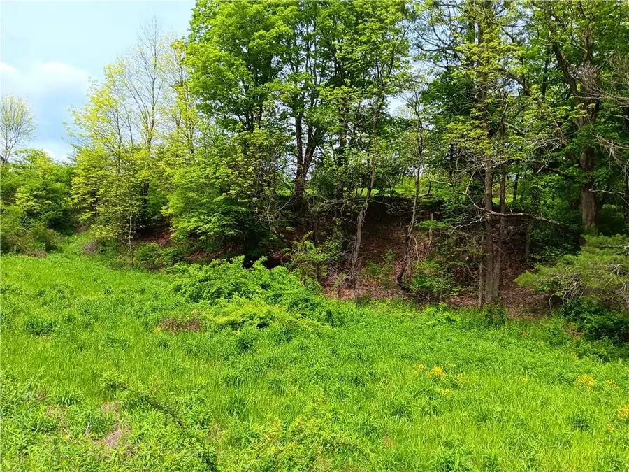 Kiff Brook Road, Bloomville, NY 13739 - Image #3