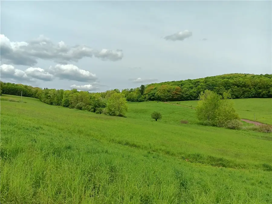 785 Kiff Brook Road, Bloomville, NY 13739 - Image #3