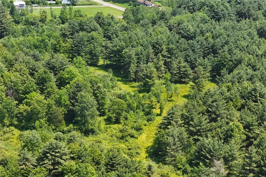 Sherbore Drive, Freeville, NY 13068 - Image #2