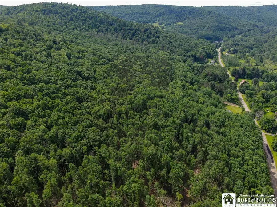 738 Four Mile Road, Allegany, NY 14706 - Image #2