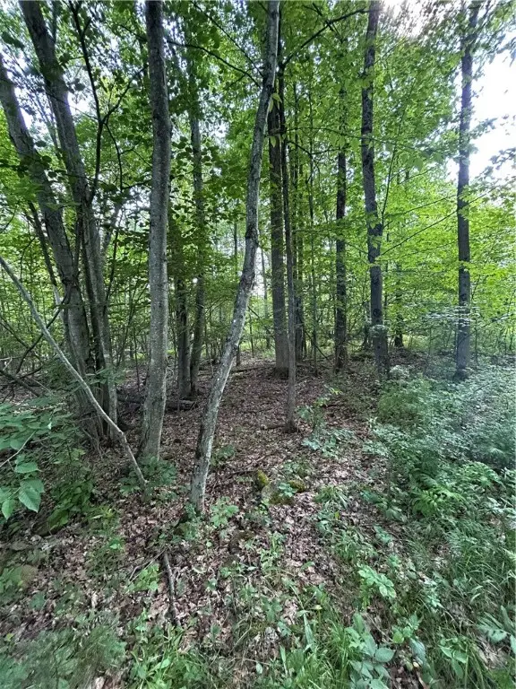 172 Aurora Drive, Norwich, NY 13815 - Image #2