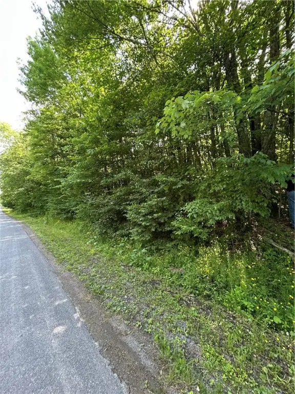 172 Aurora Drive, Norwich, NY 13815 - Image #3