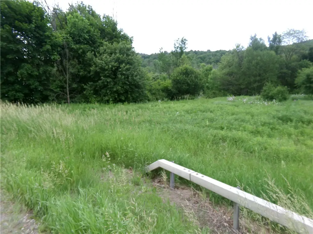 0 Candor Road, Spencer, NY 14883 - Image #1