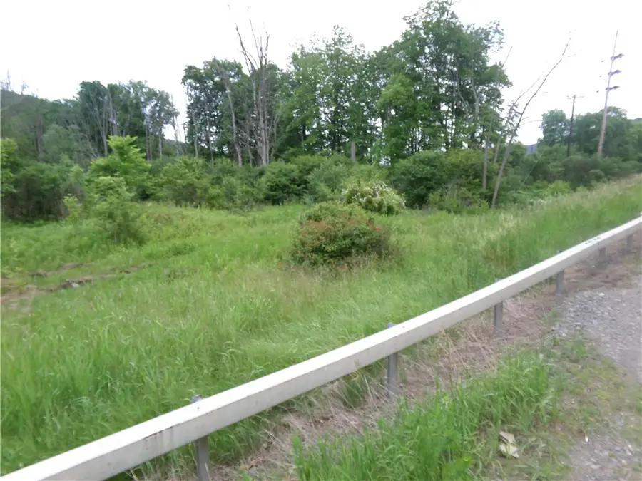 0 Candor Road, Spencer, NY 14883 - Image #2