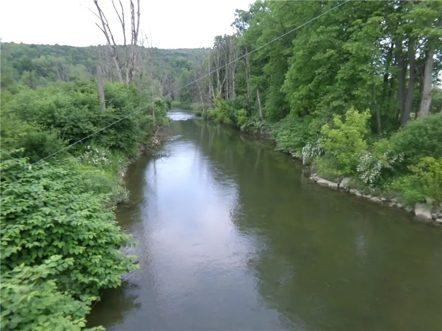 0 Candor Road, Spencer, NY 14883 - Image #3