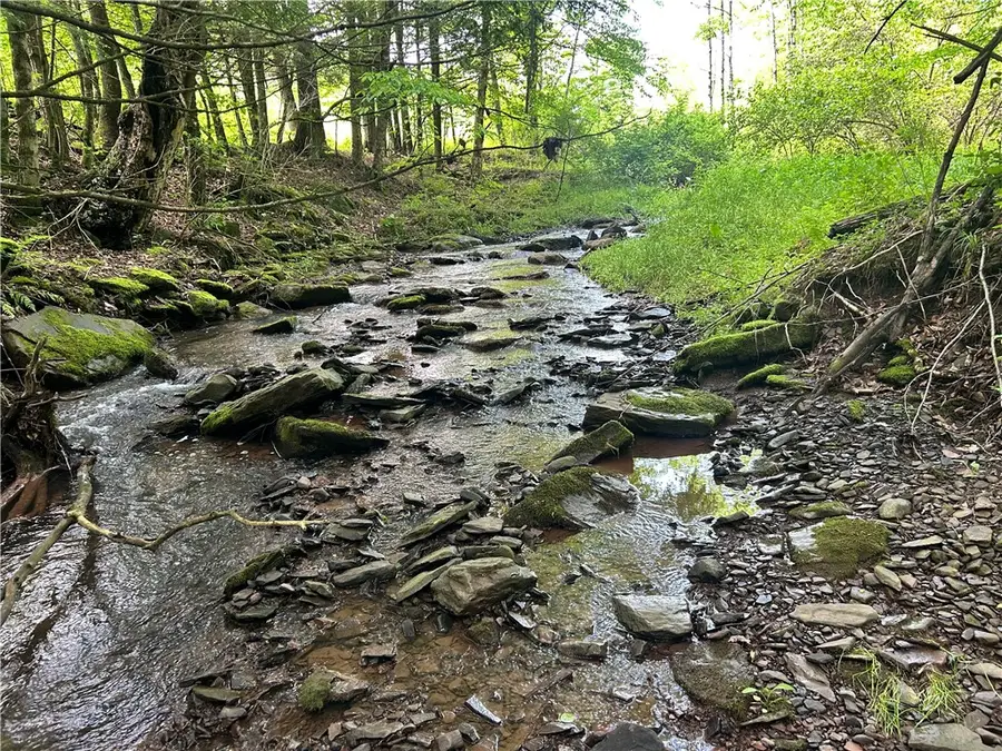 00 Oregon Road, Gilbertsville, NY 13776 - Image #2