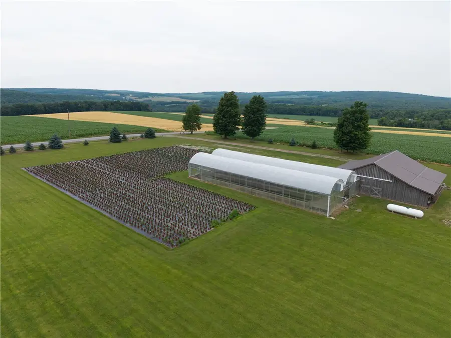 10131 Runyon Road, Dansville, NY 14437 - Image #3