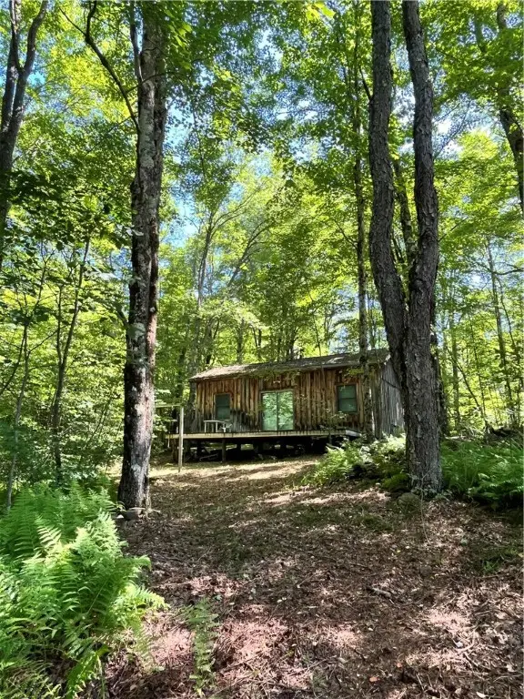 2865 Steam Mill Road, Masonville, NY 13804 - Image #1