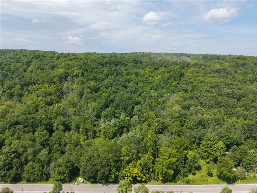 7080 Conesus Springwater Road, Conesus, NY 14435 - Image #3