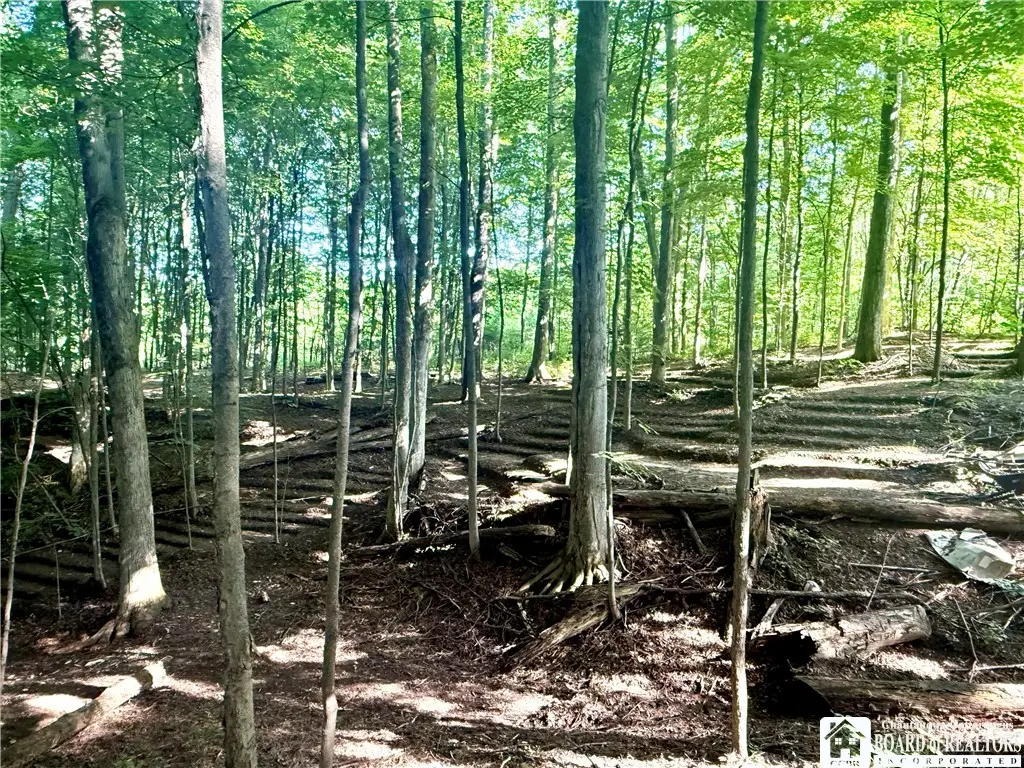 4261 Gerry Levant Road, Gerry, NY 14740 - Image #1