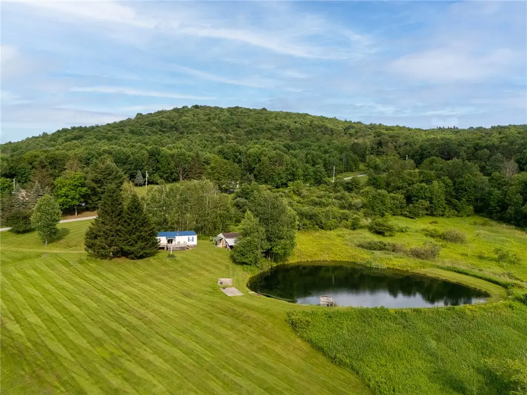 1635 Chipmunk Hollow Road, Walton, NY 13856 - Image #1