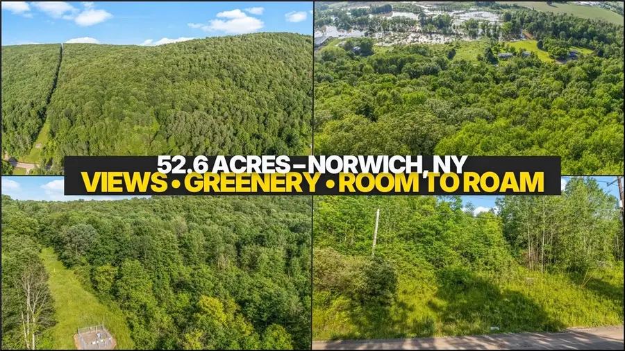 L31.1 County Road 32, Norwich, NY 13815 - #2