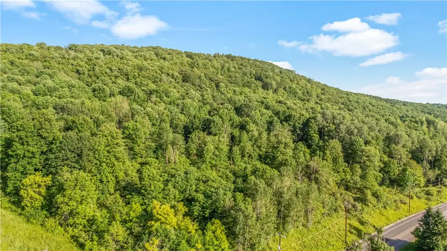 L31.1 County Road 32, Norwich, NY 13815 - #3