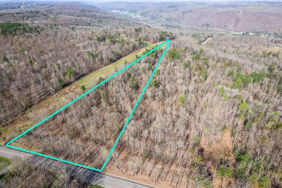 Breed Hollow Road, Catlin, NY 14902 - Image #2