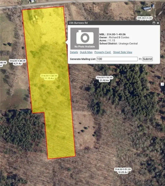 236 Burrows Road, Unadilla, NY 13849 - Image #1