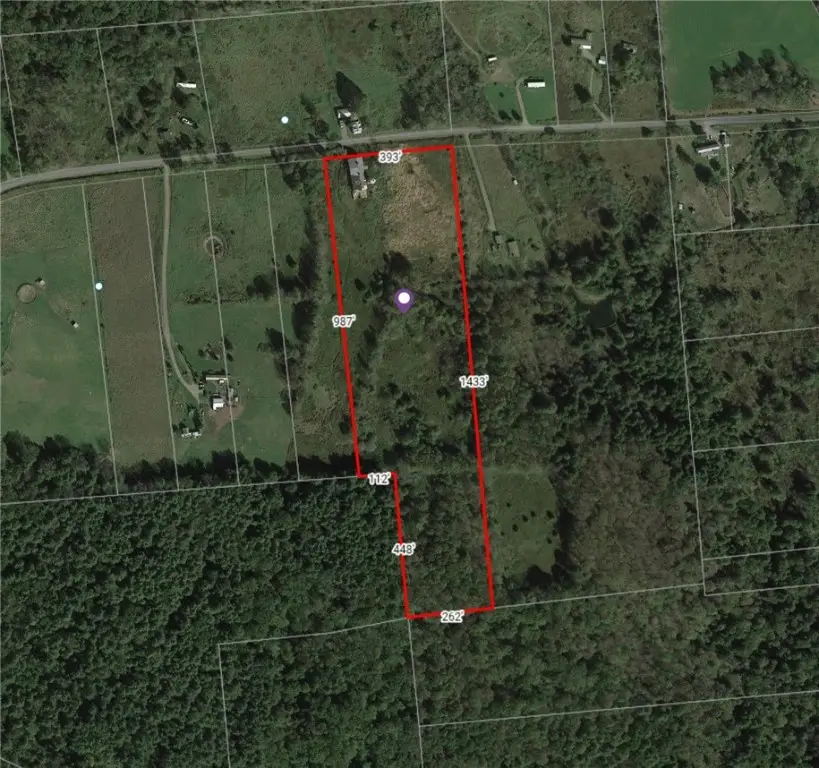 236 Burrows Road, Unadilla, NY 13849 - Image #2