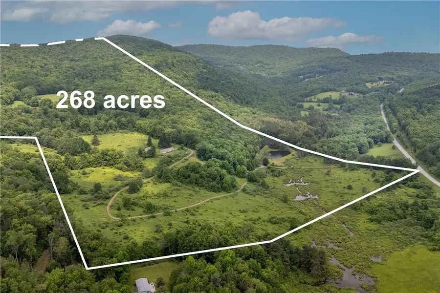 4197 County Highway 26, Hamden, NY 13782 - Image #2