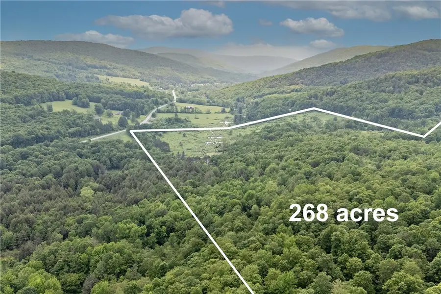 4197 County Highway 26, Hamden, NY 13782 - Image #3