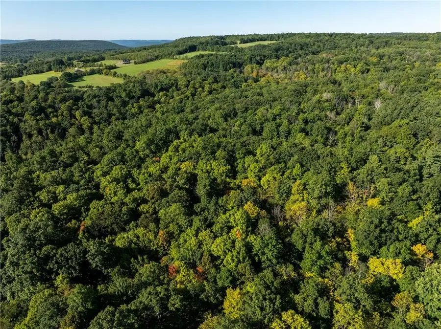 S Gannett Hill Road, Naples, NY 14512 - Image #2