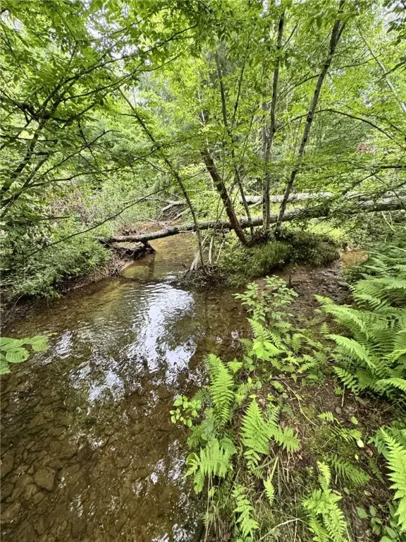 179 White Hollow Road, Smethport, PA 16749 - Image #3