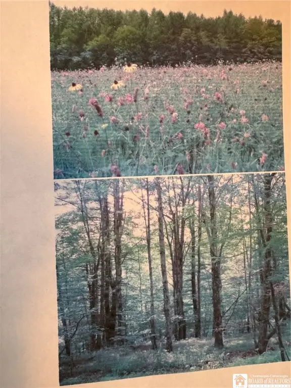 7285 County Road 15, Angelica, NY 14709 - Image #2